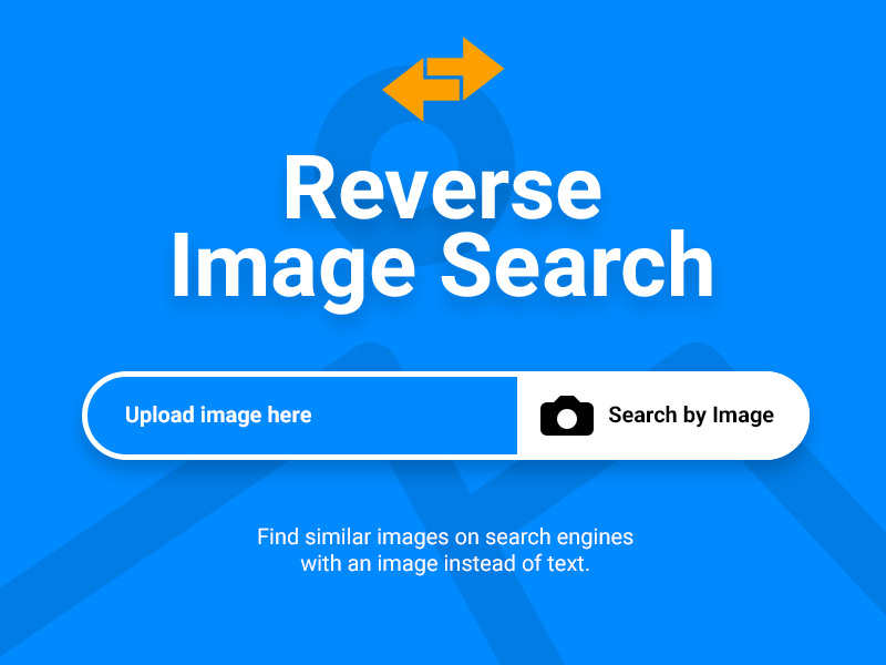 Reverse Search Image